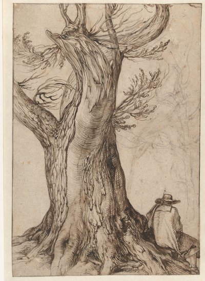 Estudio de un tronco de árbol de Jacob II de Gheyn