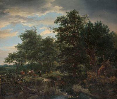 Escenario del bosque de Jacob van Ruisdael