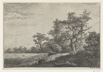 el maizal de Jacob van Ruisdael