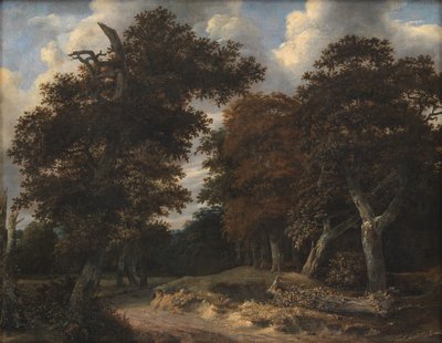 Camino a través de un bosque de robles de Jacob van Ruisdael