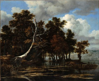 Robles en la orilla de un lago con nenúfares de Jacob van Ruisdael
