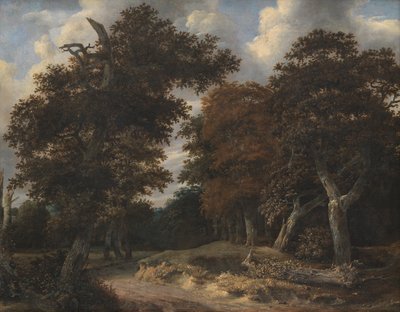 Camino a través de un bosque de robles de Jacob van Ruisdael
