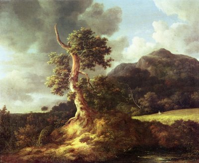 Imagen Desconocida de Jacob van Ruisdael