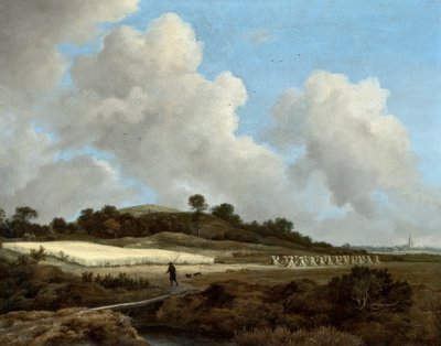 Vista de campos de grano con una ciudad distante de Jacob van Ruisdael