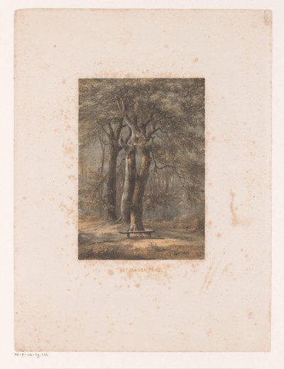 Jacoba arbor
El cenador de Jacoba (título en el objeto) de Jacob Jan van der Maaten
