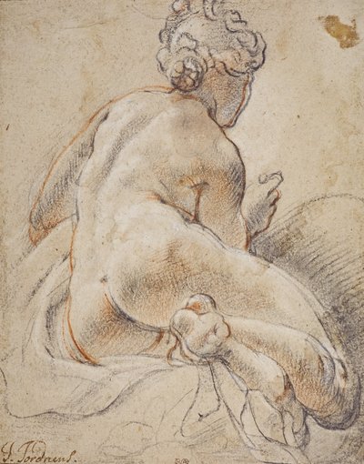 Desnudo femenino, visto de espaldas de Jacob Jordaens