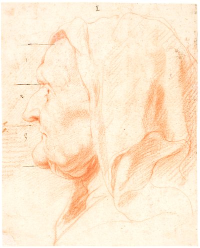 Cabeza de una anciana, en perfil izquierdo de Jacob Jordaens
