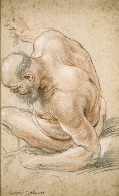 Viejo desnudo sentado, apoyado en su antebrazo, mirando a la izquierda, c.1640 de Jacob Jordaens