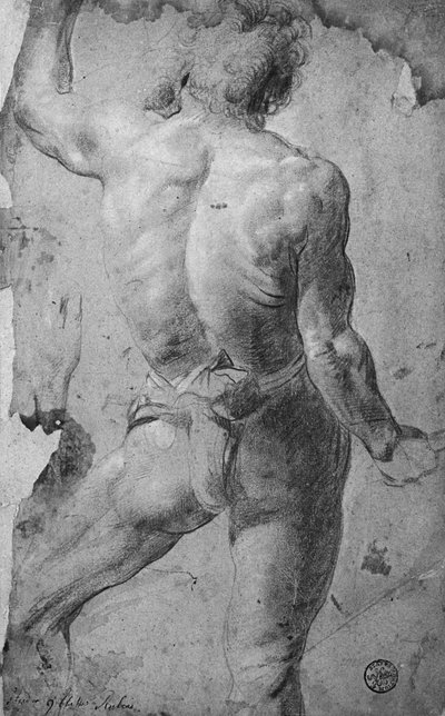 Desnudo masculino de pie de Jacob Jordaens