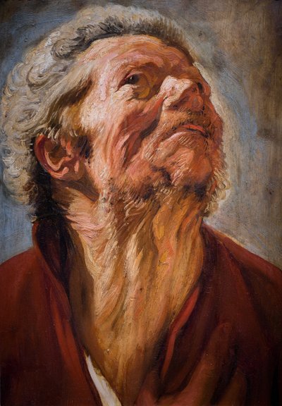 Jefe de estudio de Jacob Jordaens