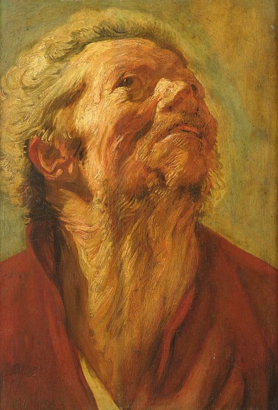 Estudio de una cabeza, o cabeza de un apóstol de Jacob Jordaens
