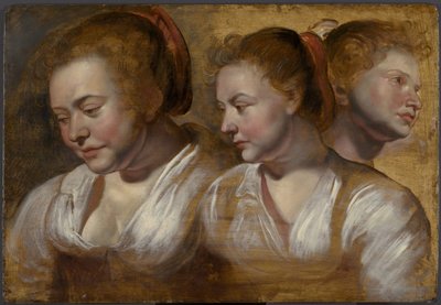 Tres estudios de una mujer joven de Jacob Jordaens