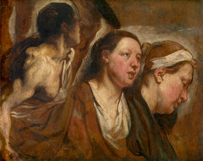 Dos cabezas femeninas y torso de guerrero de Jacob Jordaens