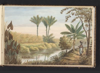 Vista del campo con plantación de caña de azúcar Visserszorg
Campo con caña de azúcar (título en el objeto)
Vista del terreno en Visserszorg (título en el objeto)
Álbum de dibujos de Surinam, p.7 (50) (título de la serie) de Jacob Marius Adriaan Martini van Geffen