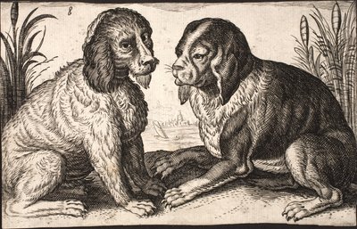 Dos perros junto a un lago de Jacob Matham