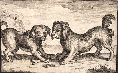 Dos perros pequeños de Jacob Matham