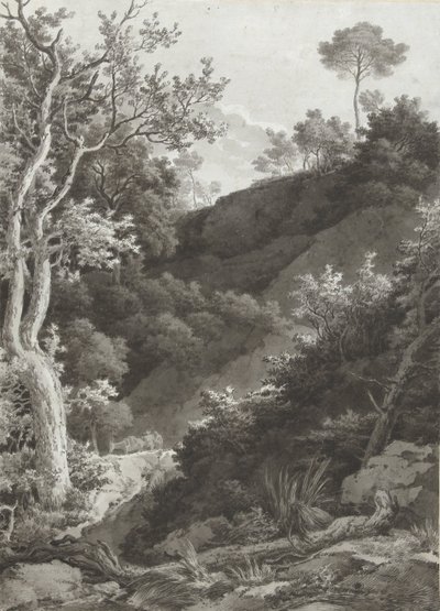 Ladera boscosa de Jacob Philipp Hackert