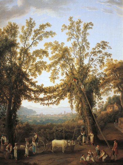 Otoño, cosecha cerca de Sorrento de Jacob Philippe Hackert