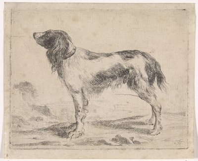perro de pie Perros (título de la serie) de Jacob Toorenvliet