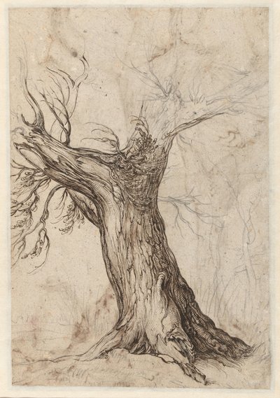 Castaño con algunos árboles alrededor de Jacob de Gheyn (II)