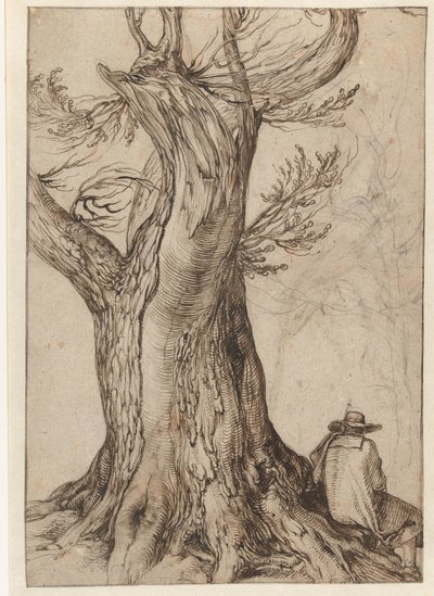 Estudio de un tronco de árbol
Castaño con hombre sentado en las raíces de Jacob de Gheyn (II)