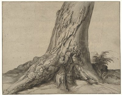 Estudio de un tronco de árbol con raíces
Estudio de un tronco de árbol con raíces de Jacob de Gheyn (II)