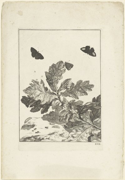 Mariposas voladoras y otros insectos sobre una rama con hojas de Jacob l
