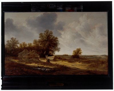 Al borde de la carretera de Jacob van Mosscher