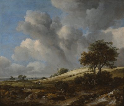 Un campo de maíz con el Zuiderzee al fondo, c. 1660 de Jacob van Ruisdael