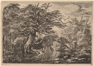 Un Pantano del Bosque con Viajeros en una Orilla (Los Viajeros) de Jacob van Ruisdael