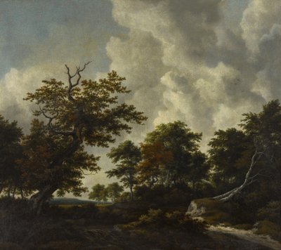 Paisaje boscoso con un gran roble y dos hayas caídas junto a una cascada de Jacob van Ruisdael