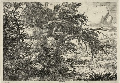 Cabaña en la cima de una colina de Jacob van Ruisdael