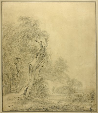 Árbol muerto al borde del agua, figura acercándose con un poste de Jacob van Ruisdael