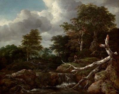 Escena del bosque, c. 1655 de Jacob van Ruisdael