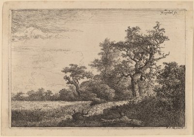 Campo de grano al borde de un bosque de Jacob van Ruisdael