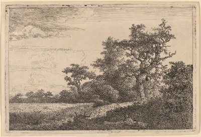 Campo de grano al borde de un bosque de Jacob van Ruisdael