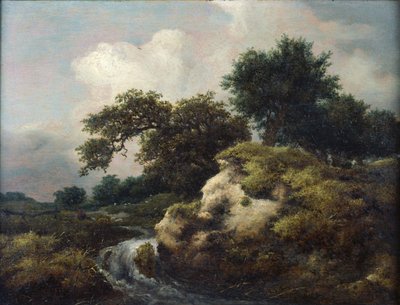 Paisaje con duna y pequeña cascada de Jacob van Ruisdael