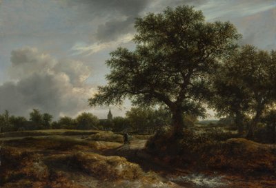 Paisaje con un Pueblo en la Distancia, 1646 de Jacob van Ruisdael