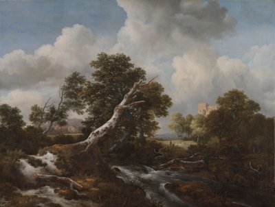 Low Waterfall in a Wooded Landscape with a Dead Beech Tree de Jacob van Ruisdael