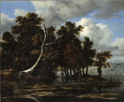Robles en un lago con lirios de agua de Jacob van Ruisdael