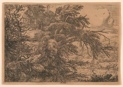 La Cabaña de Paja en la Colina de Jacob van Ruisdael