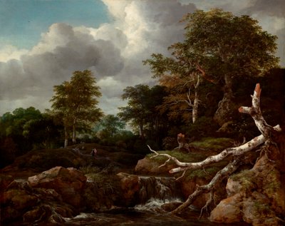 Escena del bosque de Jacob van Ruisdael