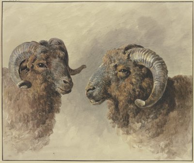 Dos ovejas de Jacob van Strij