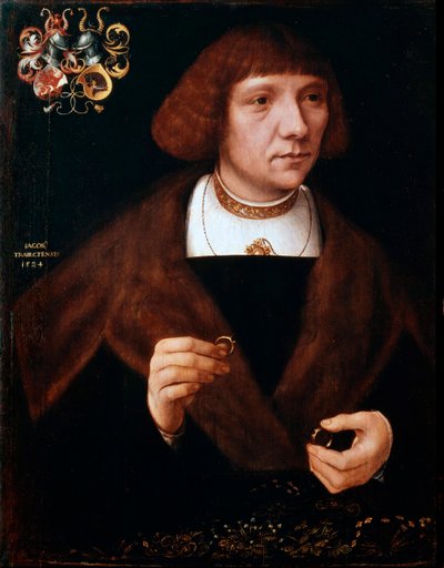 Retrato masculino con anillos, 1524 de Jacob van Utrecht