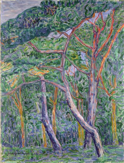 Pinos de Jacoba van Heemskerck
