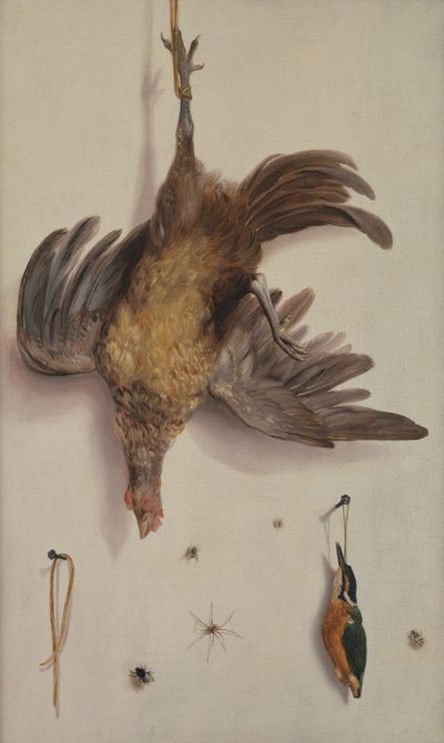Una gallina y un martín pescador colgando de una cuerda de Jacobus Biltius