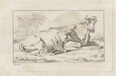 Dos vacas mentirosas de Jacobus Buys