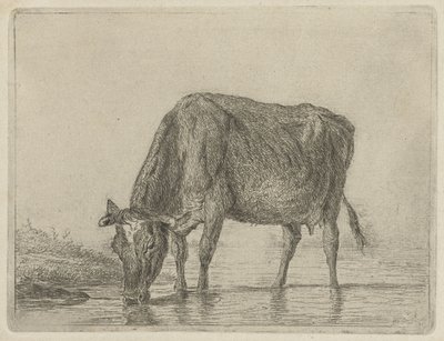 bebiendo vaca de Jacobus Cornelis Gaal