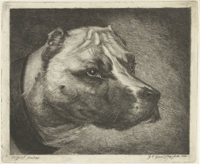 cabeza de perro con collar de Jacobus Cornelis Gaal