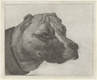 cabeza de perro con collar de Jacobus Cornelis Gaal